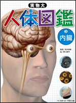 実物大 人体図鑑(3) 〜内臓〜
