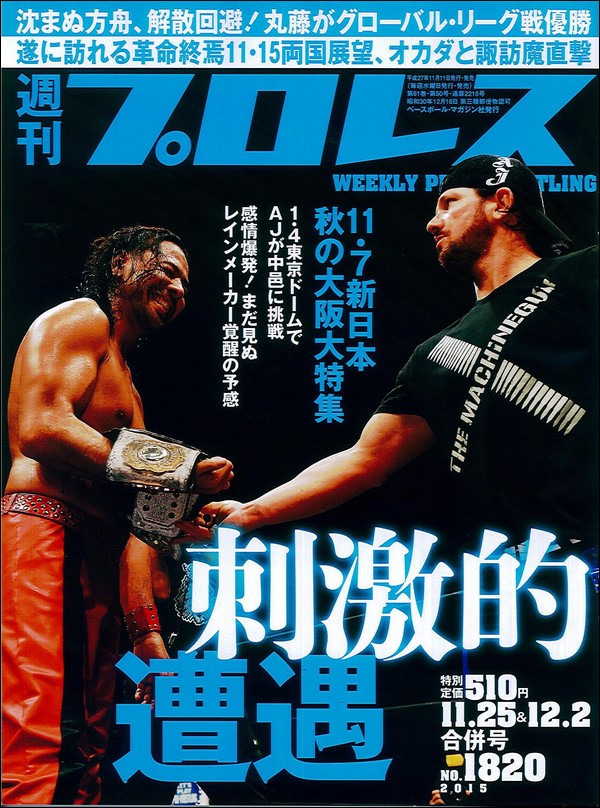 週刊プロレス 11月25日&12月2日号