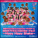 中日ドラゴンズオフィシャルパフォーマンスチーム BBMチアドラゴンズ2015カードセット ～Hippy Hippy Shake～